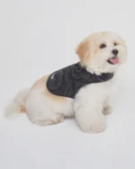 BLACK IREZUMI DOGGIE FLEECE